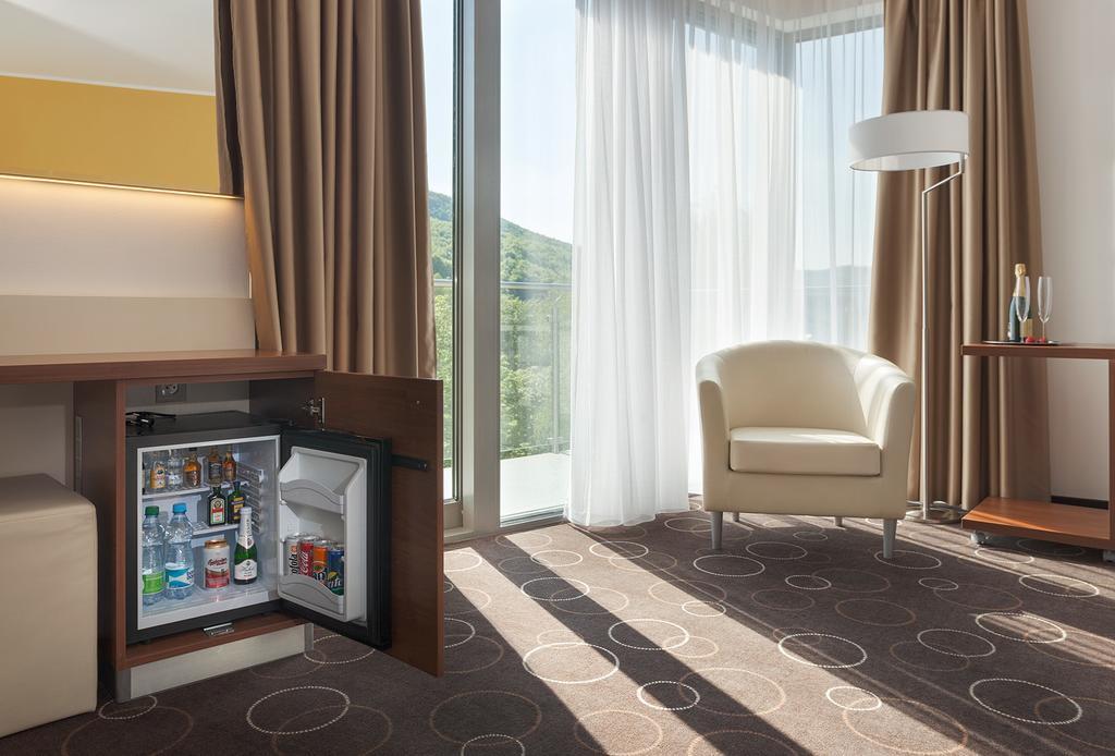 Wellness Hotel Panorama トレンチアンスケ・テプリツェ 部屋 写真
